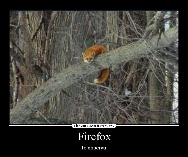 Firefox - 