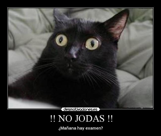 !! NO JODAS !! -