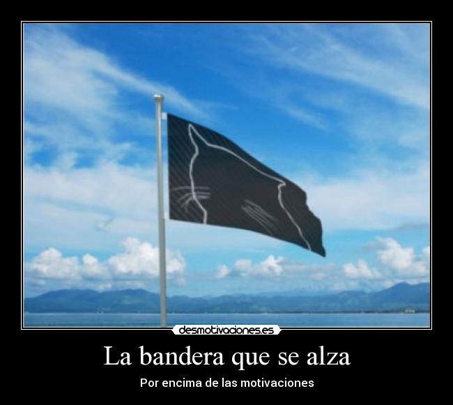 La bandera que se alza - 
