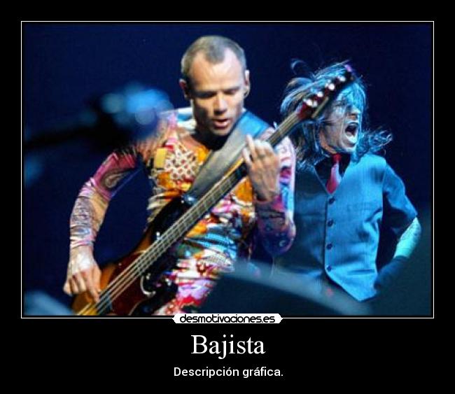 Bajista - Descripción gráfica.