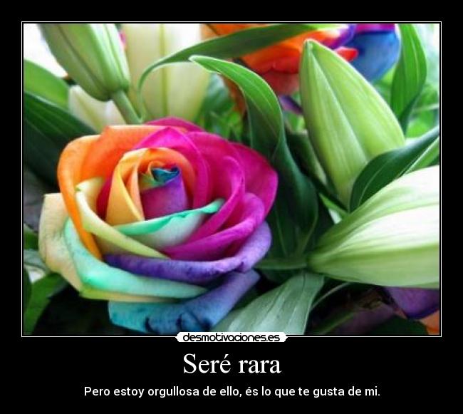 Seré rara - Pero estoy orgullosa de ello, és lo que te gusta de mi.