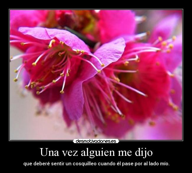 Una vez alguien me dijo -