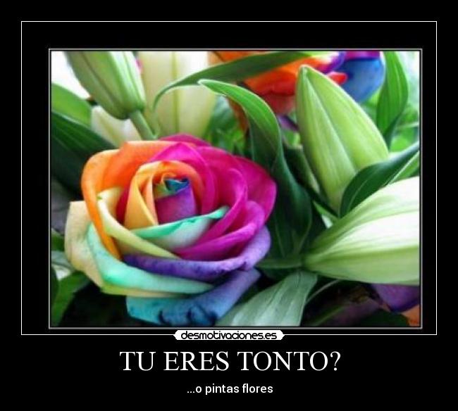 TU ERES TONTO? - 