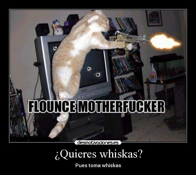 ¿Quieres whiskas? -