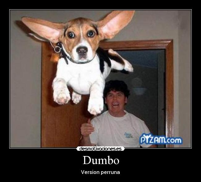 Dumbo - Version perruna