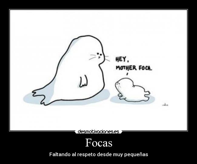 Focas -