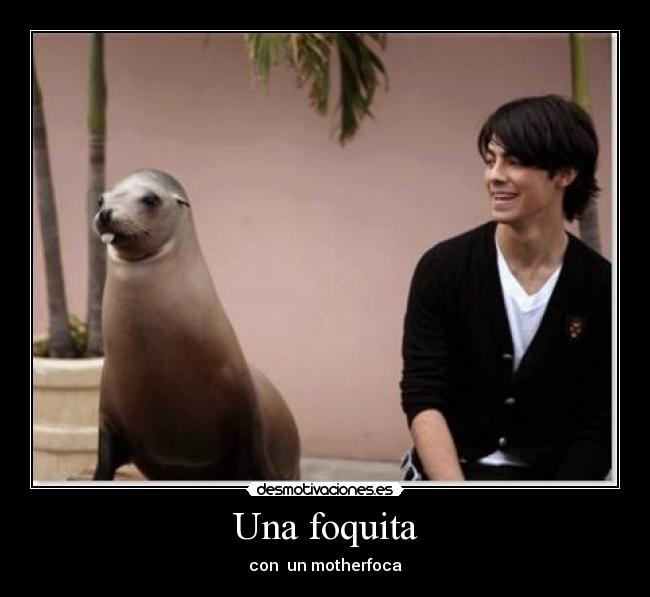 Una foquita - con un motherfoca