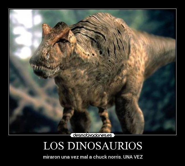 LOS DINOSAURIOS - miraron una vez mal a chuck norris. UNA VEZ