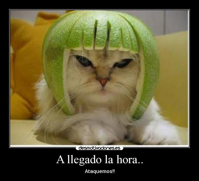 A llegado la hora.. - 