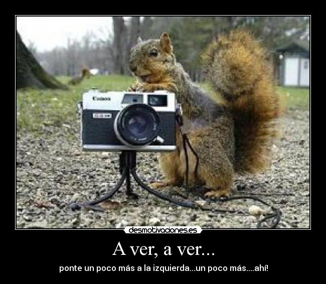 A ver, a ver... - ponte un poco más a la izquierda...un poco más....ahí!