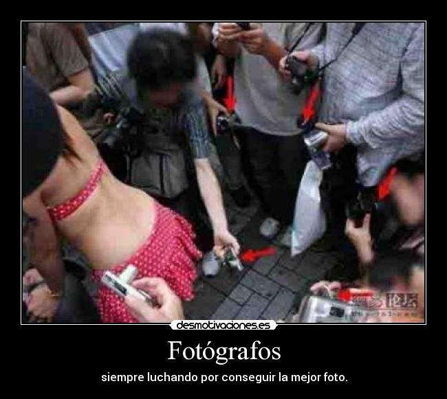 Fotógrafos - siempre luchando por conseguir la mejor foto.