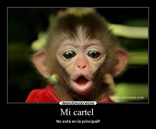 Mi cartel  - No está en la principal!!