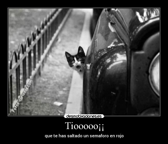 Tiooooo¡¡ - que te has saltado un semaforo en rojo