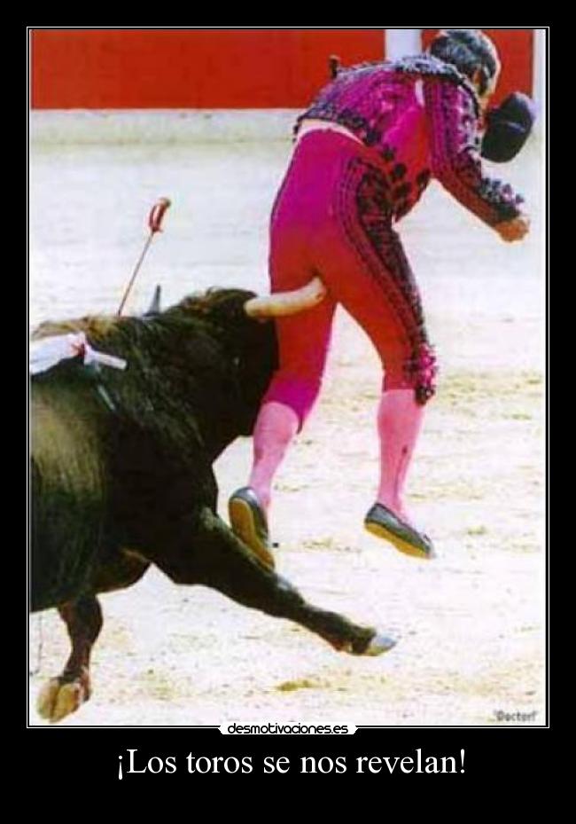 ¡Los toros se nos revelan! - 