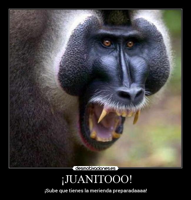 ¡JUANITOOO! - ¡Sube que tienes la merienda preparadaaaa!