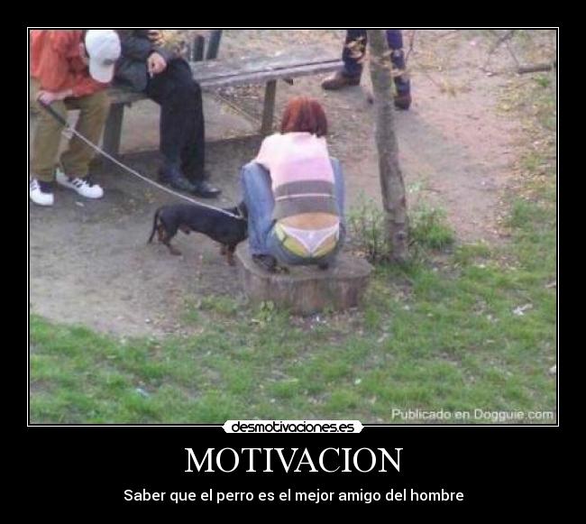 MOTIVACION - Saber que el perro es el mejor amigo del hombre