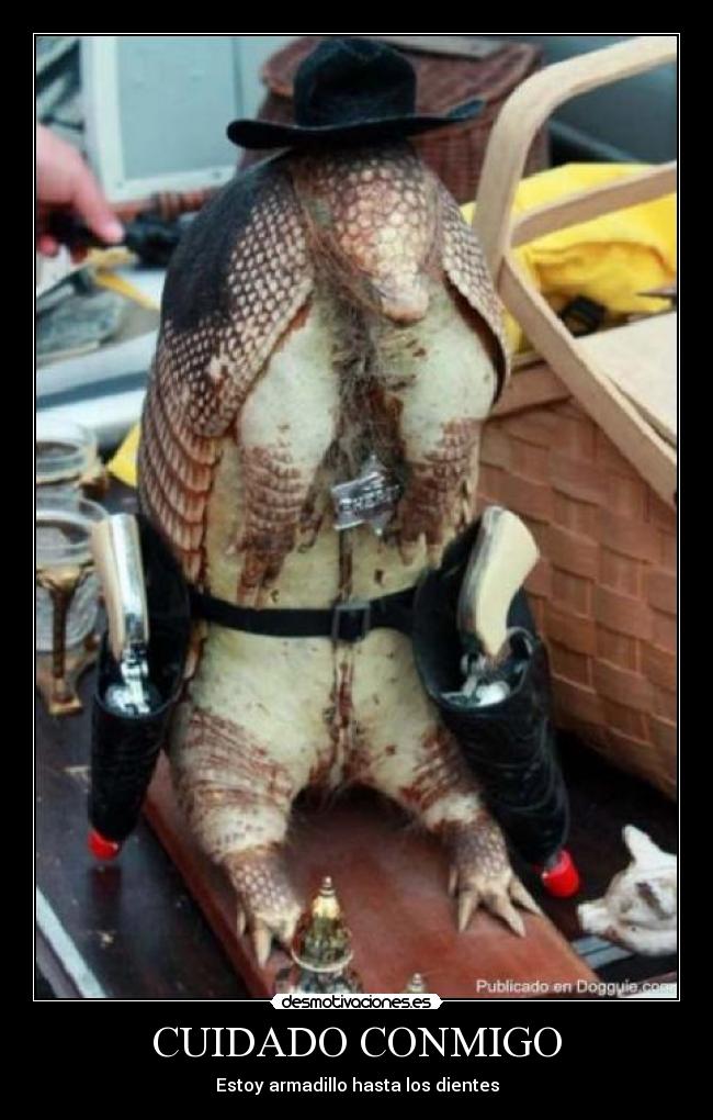 CUIDADO CONMIGO - Estoy armadillo hasta los dientes