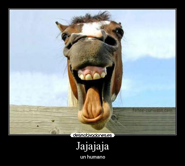 Jajajaja - un humano
