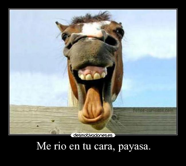 Me rio en tu cara, payasa. -