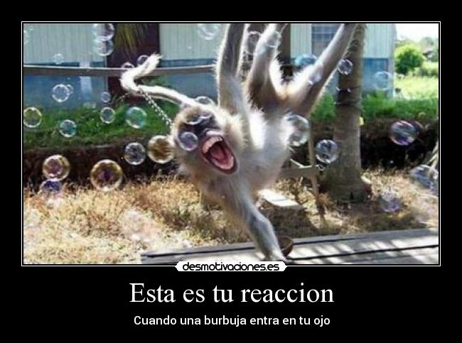 Esta es tu reaccion - Cuando una burbuja entra en tu ojo