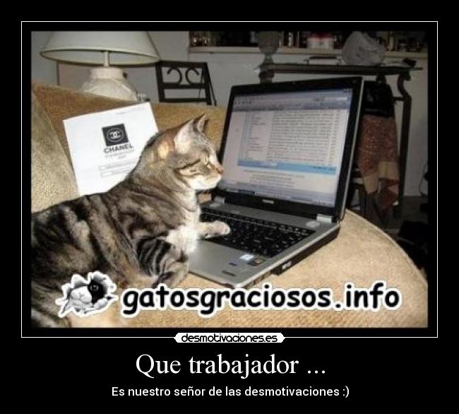 Que trabajador ... - Es nuestro señor de las desmotivaciones :)