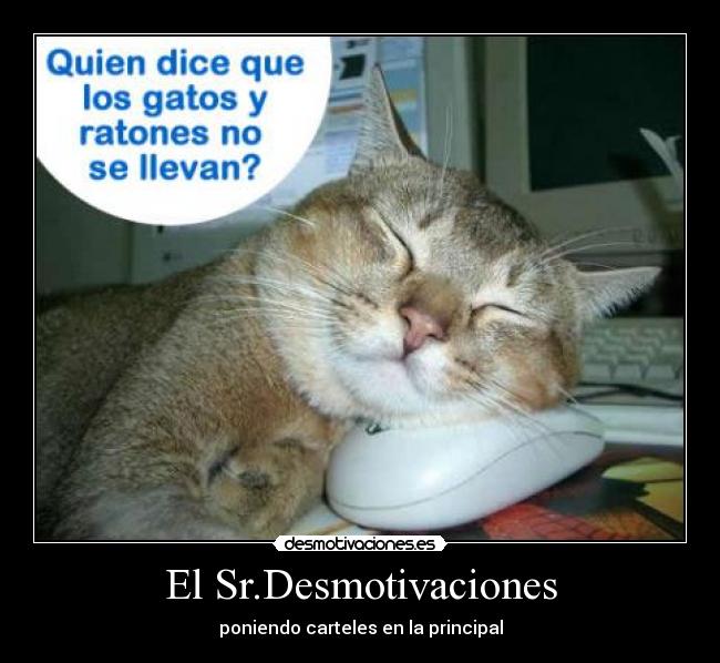 El Sr.Desmotivaciones - poniendo carteles en la principal