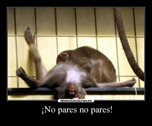¡No pares no pares! - 