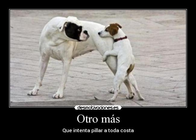 Otro más - Que intenta pillar a toda costa