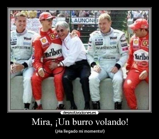 Mira, ¡Un burro volando! - (¡Ha llegado mi momento!)