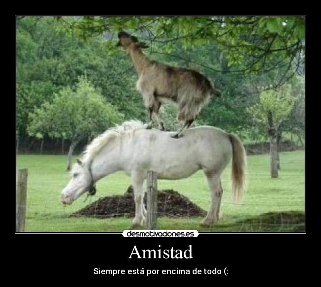 Amistad - Siempre está por encima de todo (:
