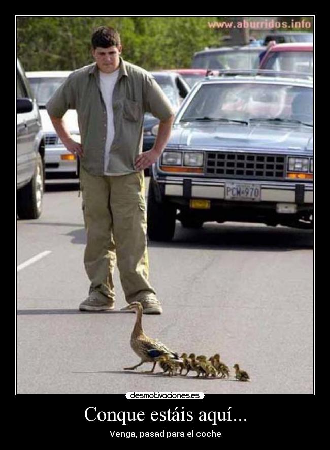 Conque estáis aquí... - Venga, pasad para el coche
