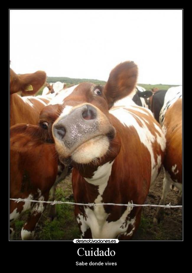 Cuidado -