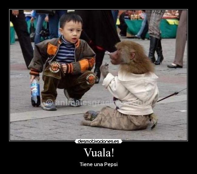 Vuala! - 