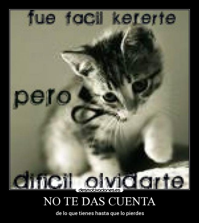 carteles olvido desmotivaciones