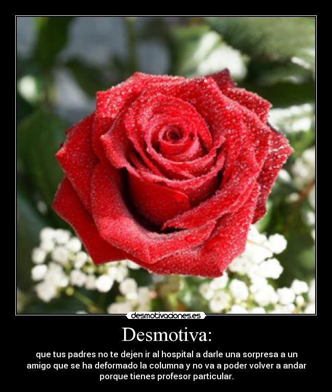 carteles desmotivacion desmotivaciones