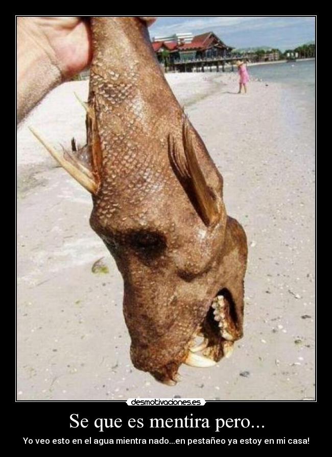 Se que es mentira pero... -