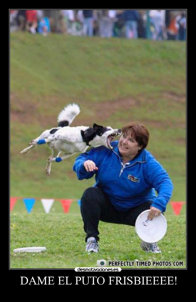 DAME EL PUTO FRISBIEEEE! - 