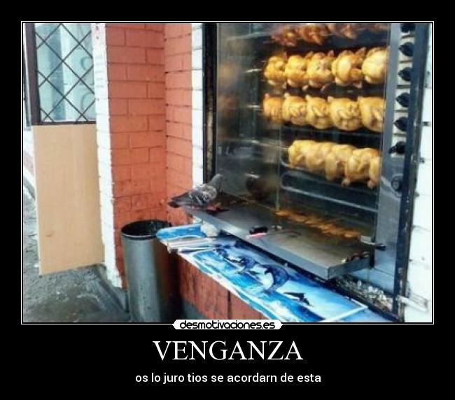 VENGANZA - 