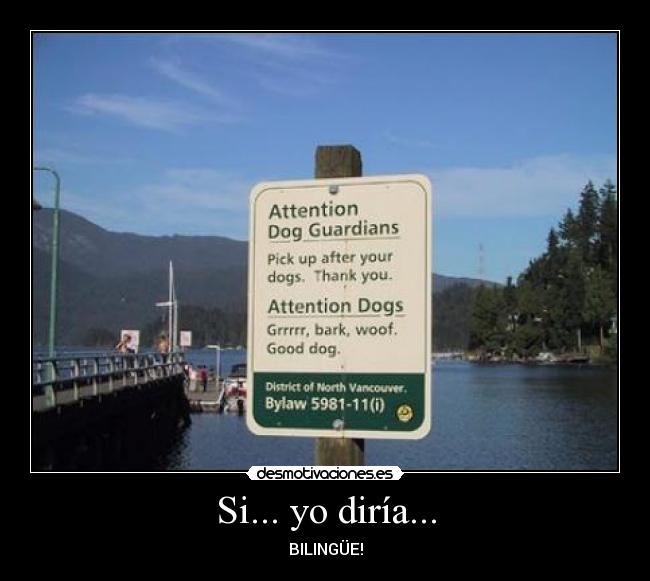 Si... yo diría... - BILINGÜE!