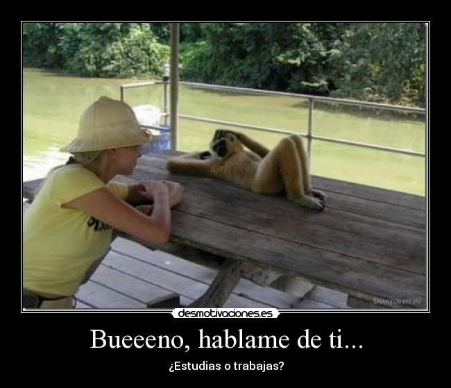 carteles desmotivaciones