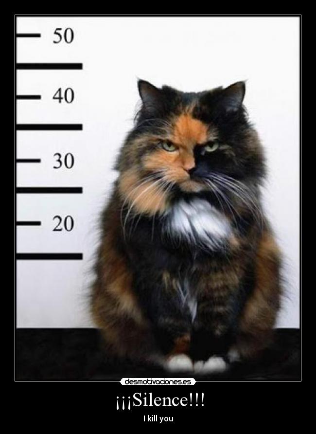 ¡¡¡Silence!!! - I kill you