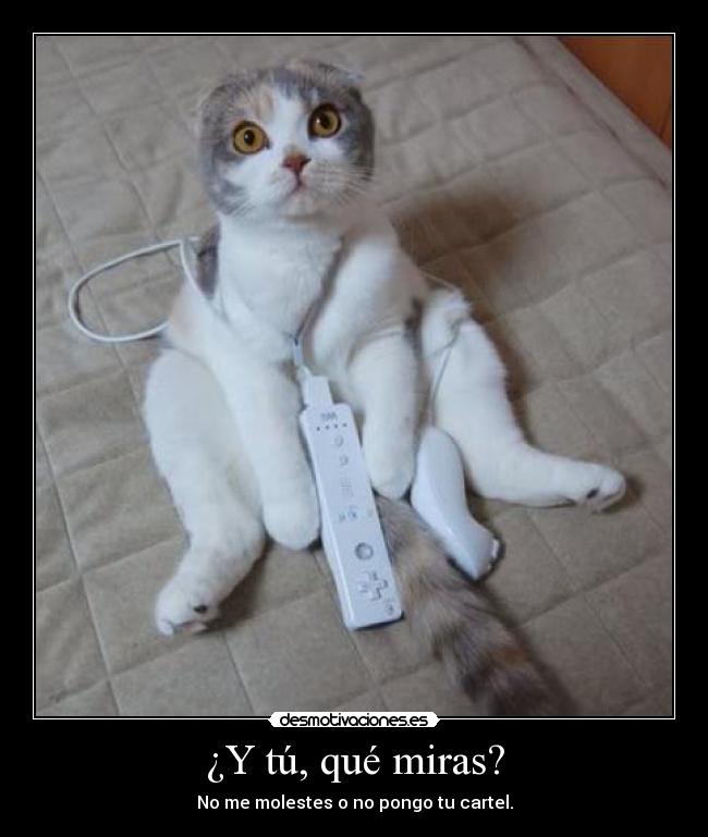 ¿Y tú, qué miras? - No me molestes o no pongo tu cartel.