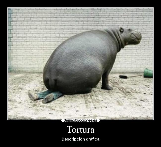 Tortura - Descripción gráfica