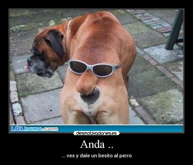 Anda .. - ... ves y dale un besito al perro