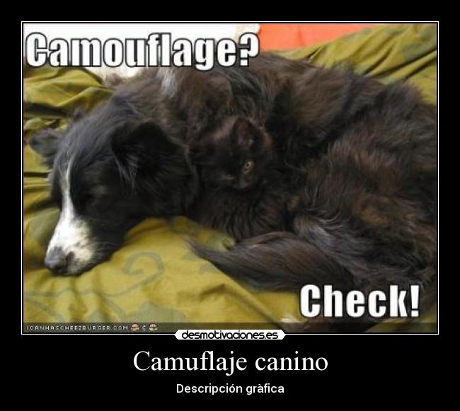 Camuflaje canino - 