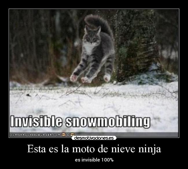 Esta es la moto de nieve ninja -