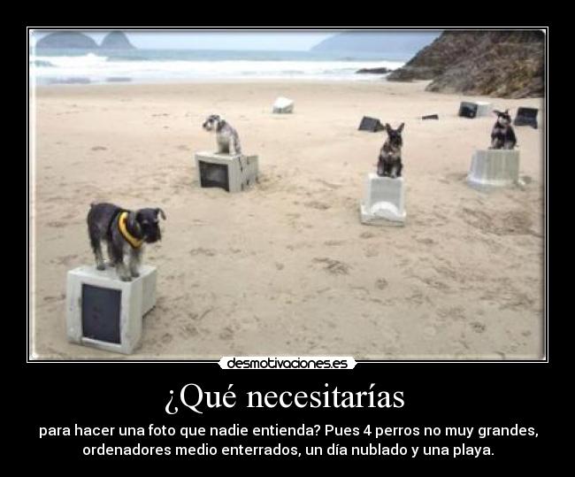 ¿Qué necesitarías  - 