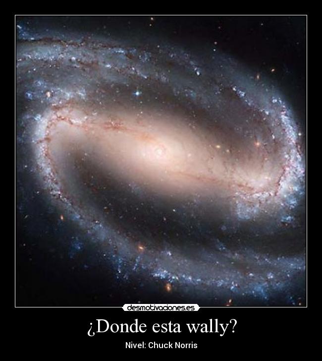 ¿Donde esta wally? -