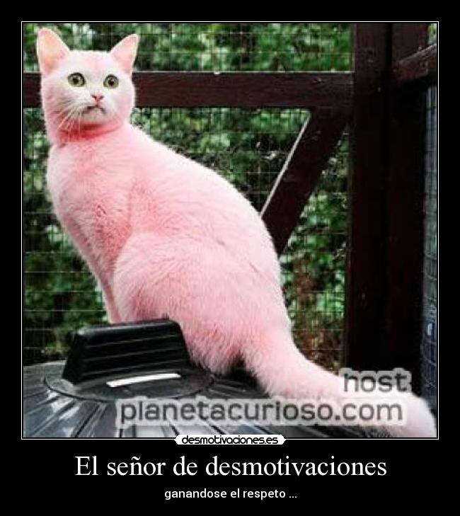 El señor de desmotivaciones - 
