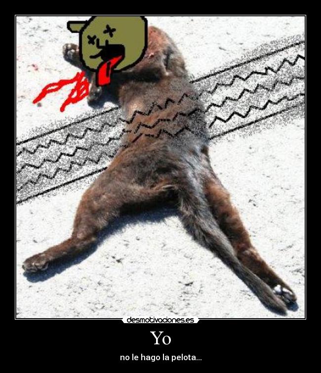 Yo - no le hago la pelota...